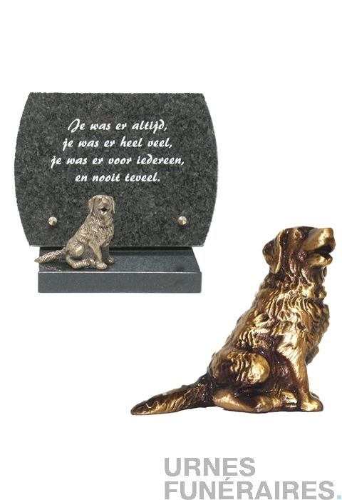 Urne commémorative pour cendres d'animaux Urne pour chiens pour